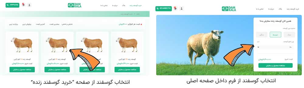 آموزش خرید اینترنتی خرید گوسفند
